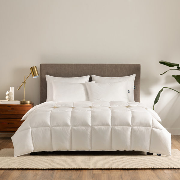 Serta Summer Down Alternative Comforter & Reviews Wayfair